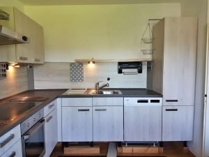 Einbauküche mit Elektrogeräten Einbauküche mit Elektrogeräten hellgrau