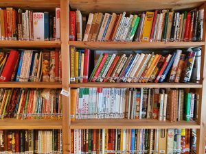 Grosse Sammlung / Konvolut an Kochbüchern 01