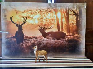 Einrichtung und Accessoires 06