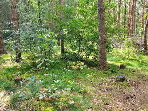 Liebe Petra, Deine letzte Ruhe auf Erden, aber im Herzen immer dabei...